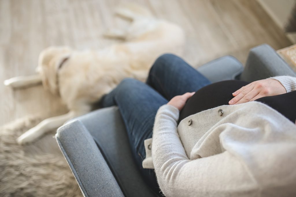 Donna incinta seduta con cane